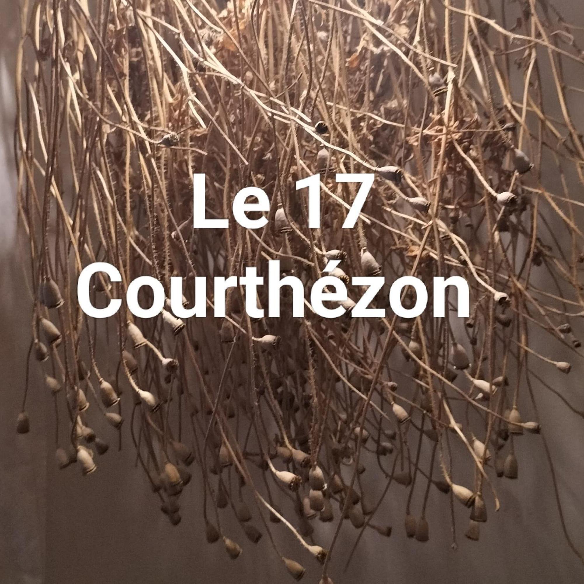 מלון Courthézon Le 17 מראה חיצוני תמונה